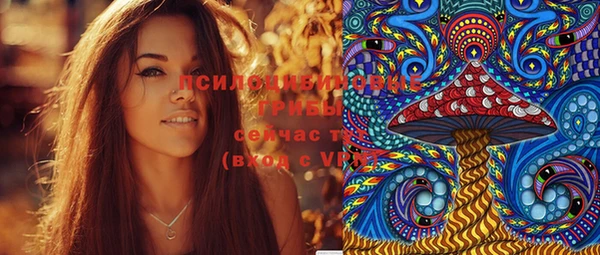 дурь Алзамай