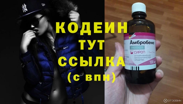 гашик Алексин