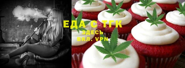 гашик Алексин