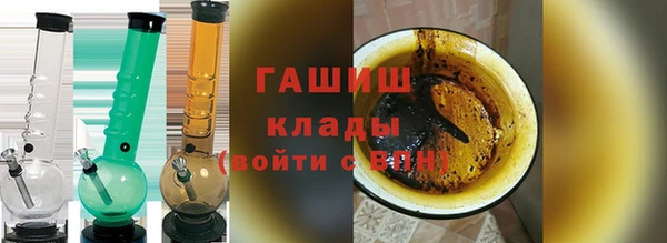 гашик Алексин