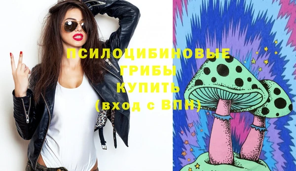 дурь Алзамай