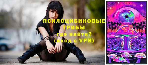 дурь Алзамай