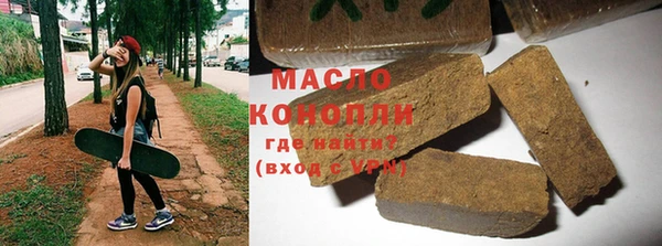 гашик Алексин
