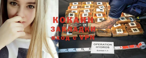 гашик Алексин