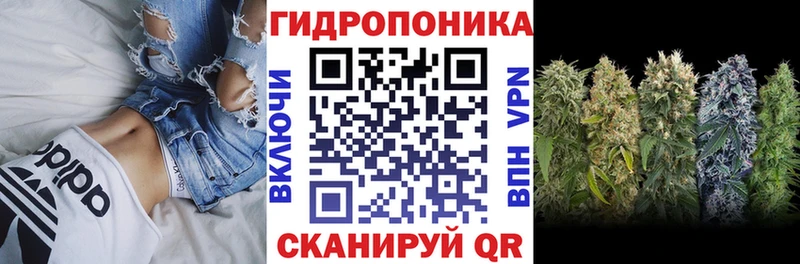 Бошки Шишки планчик Краснокамск